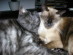 View full size picture