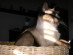 View full size picture