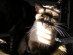 View full size picture