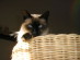 View full size picture