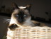 View full size picture