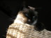 View full size picture