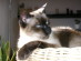 View full size picture