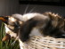 View full size picture