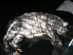 View full size picture
