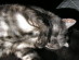 View full size picture