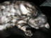 View full size picture
