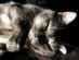 View full size picture