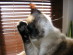 View full size picture