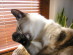 View full size picture