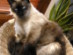 View full size picture