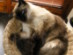 View full size picture