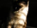 View full size picture