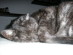 View full size picture