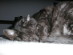 View full size picture