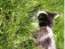 View full size picture