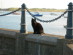 View full size picture