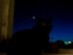 View full size picture