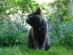 View full size picture