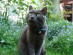 View full size picture
