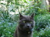 View full size picture