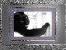 View full size picture