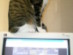 View full size picture