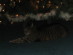 View full size picture
