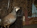 View full size picture