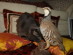 View full size picture