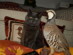 View full size picture