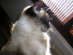 View full size picture