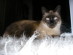 View full size picture