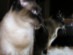 View full size picture