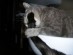 View full size picture