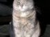 View full size picture