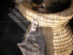 View full size picture