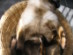 View full size picture