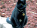 View full size picture
