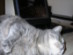 View full size picture