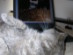 View full size picture