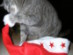 View full size picture