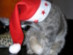 View full size picture