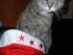View full size picture