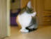 View full size picture