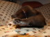 View full size picture