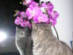 View full size picture