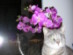 View full size picture
