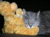 View full size picture