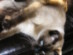 View full size picture
